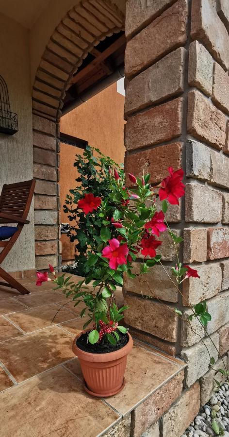Mediterrania Apartment 凯斯特海伊 外观 照片